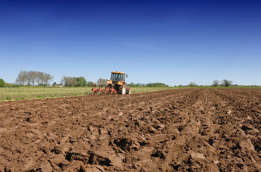 Image de la catégorie Fraises rotative